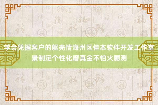学会凭据客户的躯壳情海州区佳本软件开发工作室景制定个性化磨真金不怕火臆测